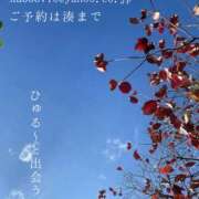 ヒメ日記 2025/11/15 09:23 投稿 湊かすみ ローテンブルク