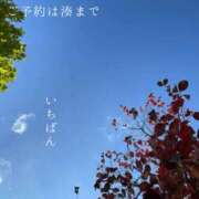 ヒメ日記 2025/11/17 08:48 投稿 湊かすみ ローテンブルク
