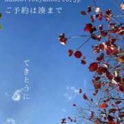 ヒメ日記 2025/11/17 08:43 投稿 湊かすみ ローテンブルク