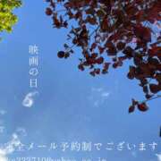 ヒメ日記 2025/11/18 08:05 投稿 湊かすみ ローテンブルク