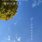 ヒメ日記 2025/11/23 08:38 投稿 湊かすみ ローテンブルク