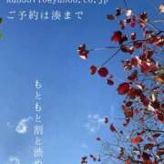 ヒメ日記 2025/11/23 09:06 投稿 湊かすみ ローテンブルク