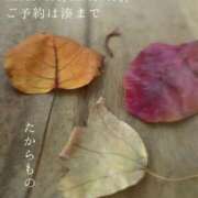 ヒメ日記 2025/11/24 18:48 投稿 湊かすみ ローテンブルク