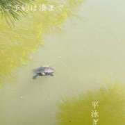 ヒメ日記 2025/11/25 09:32 投稿 湊かすみ ローテンブルク