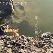 ヒメ日記 2025/11/25 09:38 投稿 湊かすみ ローテンブルク