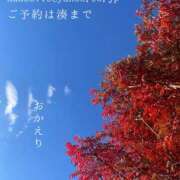 ヒメ日記 2025/11/26 08:04 投稿 湊かすみ ローテンブルク