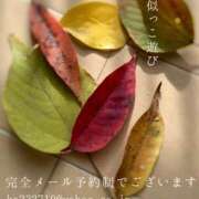 ヒメ日記 2025/11/26 08:15 投稿 湊かすみ ローテンブルク