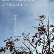 ヒメ日記 2025/11/27 09:24 投稿 湊かすみ ローテンブルク
