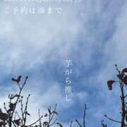 ヒメ日記 2025/11/28 08:18 投稿 湊かすみ ローテンブルク