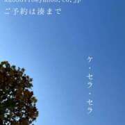 ヒメ日記 2025/11/28 09:23 投稿 湊かすみ ローテンブルク