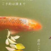 ヒメ日記 2025/11/28 09:38 投稿 湊かすみ ローテンブルク