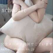 ヒメ日記 2025/11/29 04:13 投稿 湊かすみ ローテンブルク