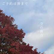 ヒメ日記 2025/11/29 09:23 投稿 湊かすみ ローテンブルク