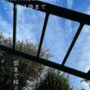 ヒメ日記 2025/11/29 09:30 投稿 湊かすみ ローテンブルク