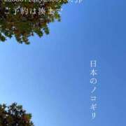 ヒメ日記 2025/11/30 09:30 投稿 湊かすみ ローテンブルク