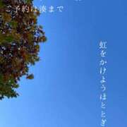 ヒメ日記 2025/12/09 08:58 投稿 湊かすみ ローテンブルク