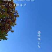 ヒメ日記 2025/12/10 09:01 投稿 湊かすみ ローテンブルク