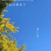 ヒメ日記 2025/12/10 09:12 投稿 湊かすみ ローテンブルク