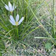 ヒメ日記 2025/12/10 09:22 投稿 湊かすみ ローテンブルク