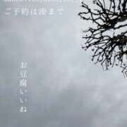 ヒメ日記 2025/12/11 23:43 投稿 湊かすみ ローテンブルク