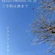 ヒメ日記 2025/12/15 23:56 投稿 湊かすみ ローテンブルク