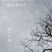 ヒメ日記 2025/12/22 08:54 投稿 湊かすみ ローテンブルク