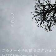 ヒメ日記 2025/12/22 09:00 投稿 湊かすみ ローテンブルク