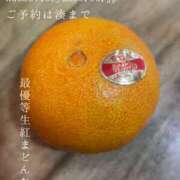 ヒメ日記 2025/12/24 21:41 投稿 湊かすみ ローテンブルク