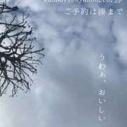 ヒメ日記 2025/12/28 08:03 投稿 湊かすみ ローテンブルク