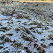 ヒメ日記 2026/01/04 09:20 投稿 湊かすみ ローテンブルク