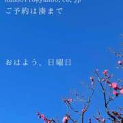 ヒメ日記 2026/01/04 09:59 投稿 湊かすみ ローテンブルク