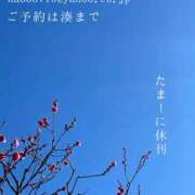 ヒメ日記 2026/01/06 08:45 投稿 湊かすみ ローテンブルク