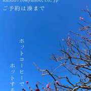 ヒメ日記 2026/01/06 09:30 投稿 湊かすみ ローテンブルク
