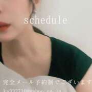 ヒメ日記 2026/01/08 22:07 投稿 湊かすみ ローテンブルク