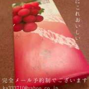 ヒメ日記 2026/01/13 07:54 投稿 湊かすみ ローテンブルク