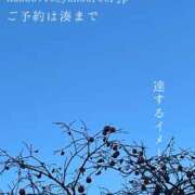 ヒメ日記 2026/01/14 09:35 投稿 湊かすみ ローテンブルク