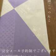 ヒメ日記 2026/01/14 09:46 投稿 湊かすみ ローテンブルク