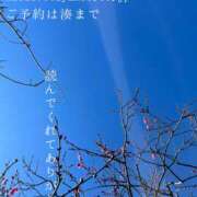 ヒメ日記 2026/01/19 08:41 投稿 湊かすみ ローテンブルク