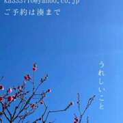 ヒメ日記 2026/01/22 09:40 投稿 湊かすみ ローテンブルク