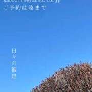 ヒメ日記 2026/01/23 08:48 投稿 湊かすみ ローテンブルク