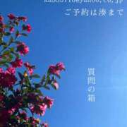 ヒメ日記 2026/01/25 08:40 投稿 湊かすみ ローテンブルク