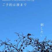 ヒメ日記 2026/01/25 09:24 投稿 湊かすみ ローテンブルク