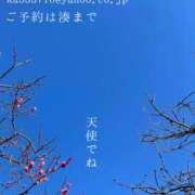 ヒメ日記 2026/01/26 08:10 投稿 湊かすみ ローテンブルク