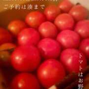 ヒメ日記 2026/01/28 09:03 投稿 湊かすみ ローテンブルク