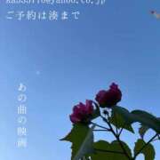 ヒメ日記 2026/01/29 08:08 投稿 湊かすみ ローテンブルク