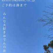 ヒメ日記 2026/01/29 08:15 投稿 湊かすみ ローテンブルク