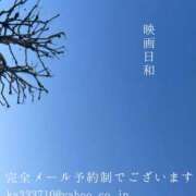 ヒメ日記 2026/01/30 23:59 投稿 湊かすみ ローテンブルク
