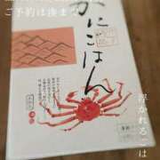 ヒメ日記 2026/02/01 09:16 投稿 湊かすみ ローテンブルク