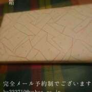 ヒメ日記 2026/02/02 08:22 投稿 湊かすみ ローテンブルク