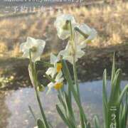 ヒメ日記 2026/02/03 09:41 投稿 湊かすみ ローテンブルク